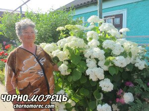 Ніна Іванівна ГРАЧОВА не уявляє свого життя без квітів.
